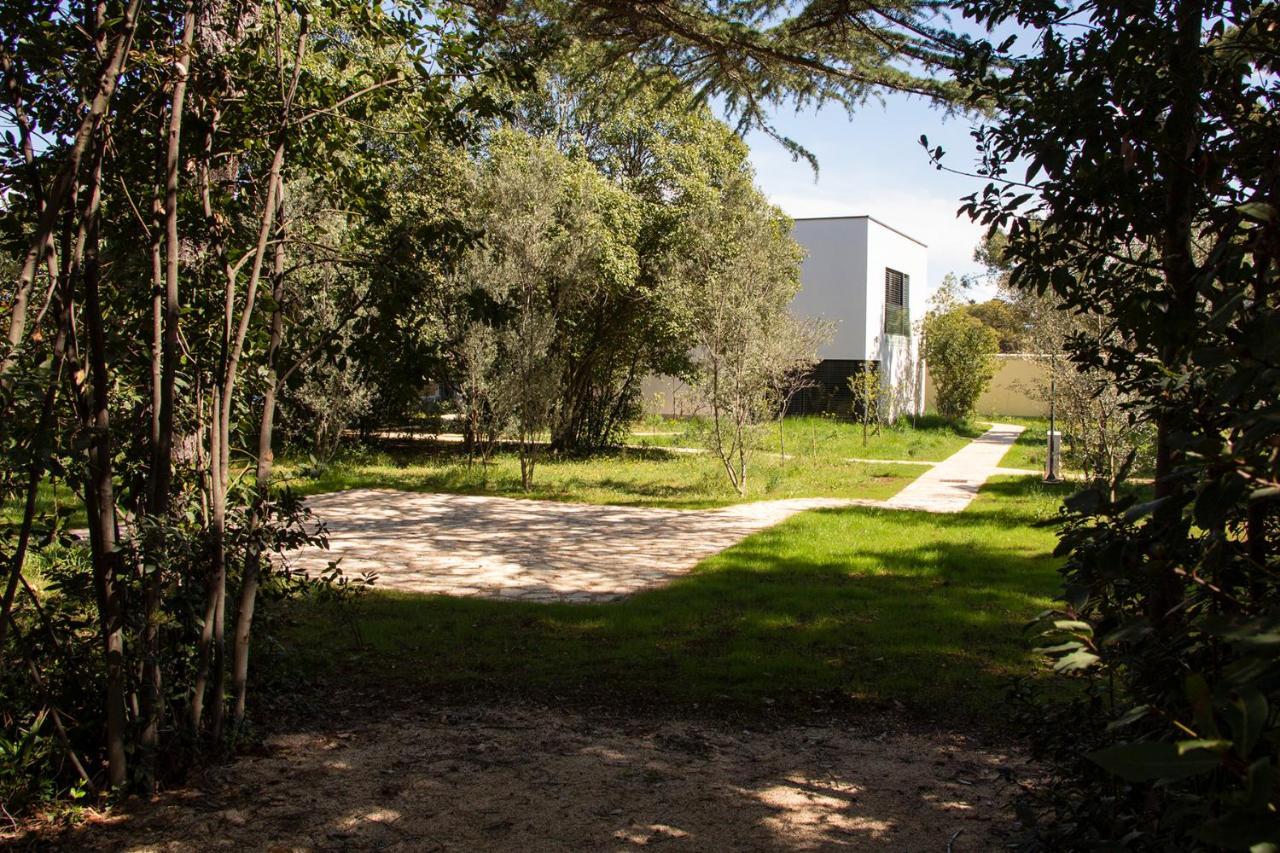Villa Rosemary Park 扎达尔 外观 照片